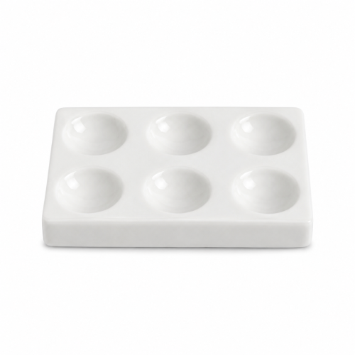 Placa para Tincion 6 Cavidades