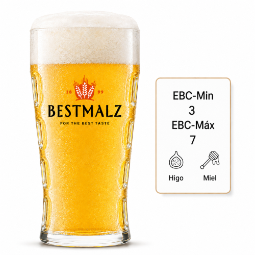Malta Caramel® Pils - Bestmalz