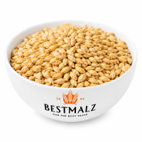 Malta Caramel® Pils - Bestmalz