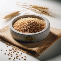 Malta Pilsen - Castle Malting